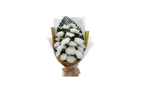 白色菊花