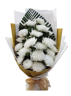 白色菊花